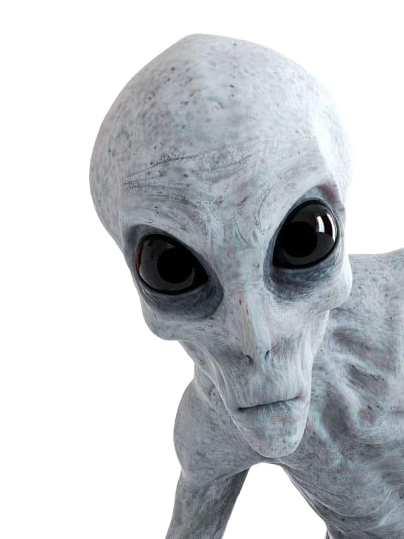 vredadeiro grey