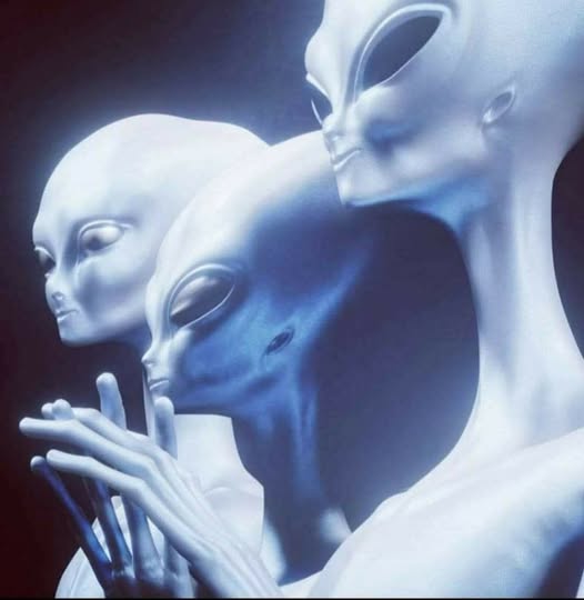 Não É Coincidência?! O Que a Estreia de "Dia da Revelação", a Pressão por Desclassificação de Arquivos, a Copa do Mundo, El Niño e a Crise Global Revelam Sobre o Momento Atual 2 3 hermosos seres de luz galactica