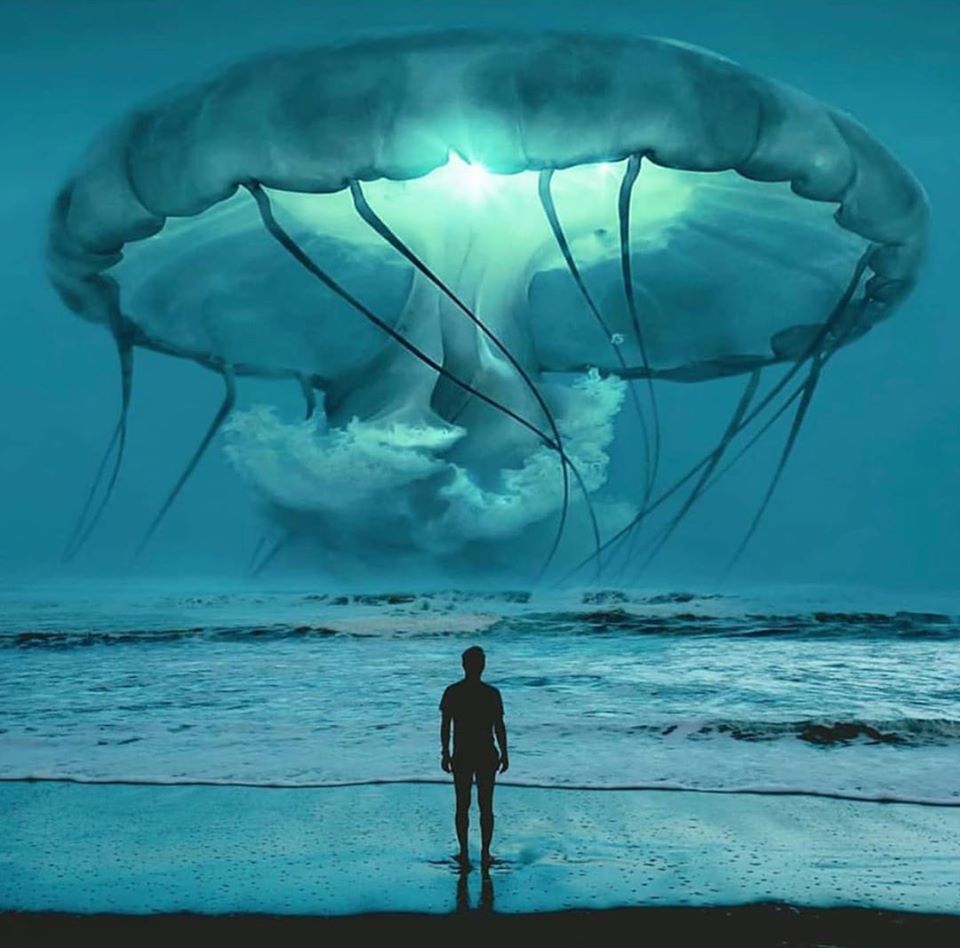 contatos das raças extraterrestres
